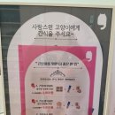 경기도동물위생시험소 | 🐾캣플 수원아이파크시티점 3번째 방문 후기/아이와 갈만한곳 추천🐈‍⬛