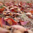 조현우정신건강의학과의원 이미지