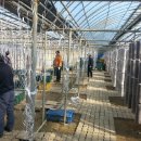 이배농장 이미지