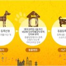 장호원동물병원 이미지