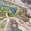 문경새재 생태미로공원 이미지