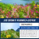 {섬테마&amp;인증 36인승 2026년 5월 30일 토요일 ]고흥군 쑥섬(애도)수국꽃섬&amp;봉래산 편백숲 트레킹 관광 이미지