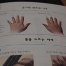 오카리나(입문) | 우쿨렐레 입문으로 시작해 자격증까지!