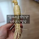길가네금산인삼