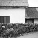 삼달2리 이미지