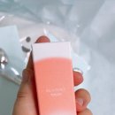 뽀삐뽀삐 | 아멜리 VIP 선물 보라쿠션 터치밤 뽀삐코랄 여행파우치 후기