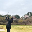 응암본가 이미지