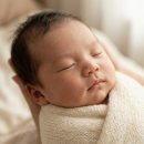 연세의원 | 입체초음파 후기 일산 연세맘스그린여성의원