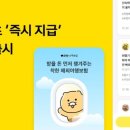 손해보험1_카카오페이