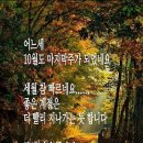 라이즈 카페 이미지