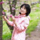 합도초교 이미지