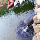 백달낚시터 이미지