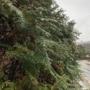 두물머리 화장실 | 【양평 데이트】 길조 호텔 후기 &amp; 두물머리 산책