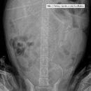 의정부 24시 IU 동물병원 이미지
