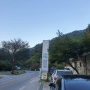 금방아 민박 캠핑장 | [캠핑장]공기좋고 화장실,샤워실 리모델링으로 완전 깨끗한 계곡뷰 강원도 영월 2박3일 금방아민박캠핑장