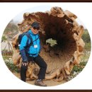 연산군 유배지 이미지