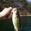 고남저수지 이미지