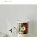 단아한프룻 이미지