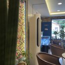 반려견 이해하기(펫) 이미지