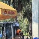 로우코스트 | 방콕 짜뚜짝시장 주말쇼핑 후기 옷 원피스 가성비 시장 가는법