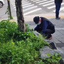 면목천로 어르신 쉼터 이미지