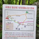 ※2026년 9월 17일 목요일 유명산 정기산행 안내 이미지