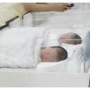 웰빙 이발