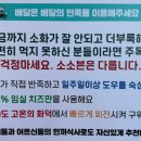 소소븐화덕피자 이미지