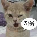 원할머니보쌈 종로5가점 | [종로5가 점심] 원할머니 보쌈반상 12000원 가성비 좋은 직장인 맛집