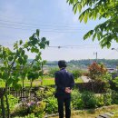 파베뉴