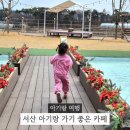 가온마을801동앞 | 서산 아기랑 가기 좋은 카페 카페가온 넓은 야외 공간 후기