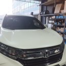 박 CARS 이미지
