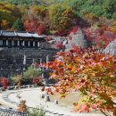 삼성궁 이미지