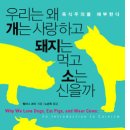 우리돼지소 티스토리