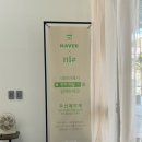 미샵헤어 - 서구 | 전주미용실 미샵 전주본점 염색 후기