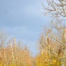 대한적십자사 앞 버스정류장 이미지