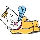 오늘에장호 이미지
