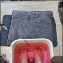 신흥세탁 | 신흥역마사지 지인과 피로 해소한 TJ정통 타이안마 솔직 후기