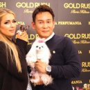 리틀애견타운 이미지