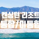 돈사미 이미지