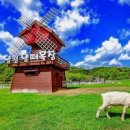 풍성목장 이미지