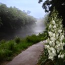 광릉수목원 이미지