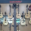 대학뮤직랜드 이미지