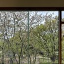 부산종합식품 | [부산 남구] 데이트하기 좋은 우암동 도시숲 신상 카페 "달숲" 방문 후기 + 도시숲 산책