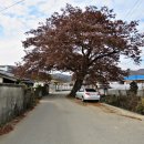 남하1리 이미지