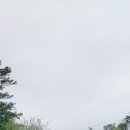 파나시아골프클럽 이미지