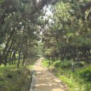 [8편] 2025년7월4일 금요일 남파랑길 5코스를 다녀와서! 이미지