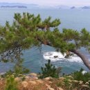 섬어부밥상 이미지