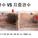 관수야관수 이미지