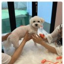 부산진유치원 이미지